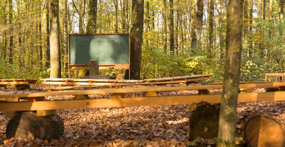 Aula con Banchi di Scuola in mezzo al bosco