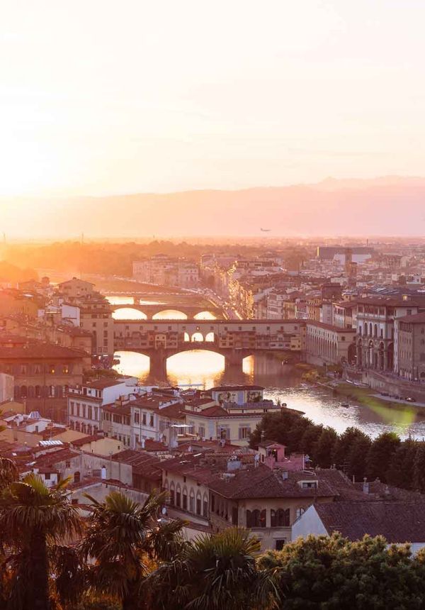 city with the river and bridges