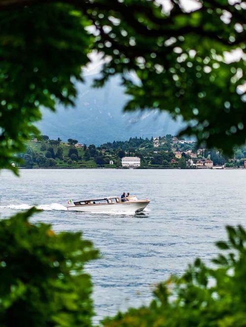 the boat sails on the sea among the plants